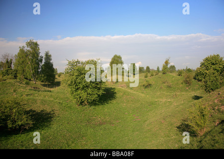 Spring green Colours at Hills and Holes National English Nature Reserve Barnack Village Cambridgeshire England Stock Photo