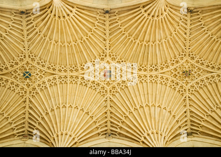 Bath Abbey, fan vault, Bath, Somerset, South of England, England, Great Britain, Europe Stock Photo