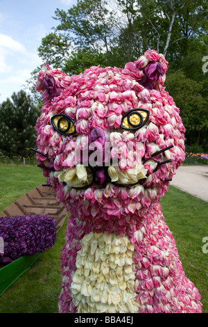Spalding Flower Festival Springfields Lincolnshire Stock Photo