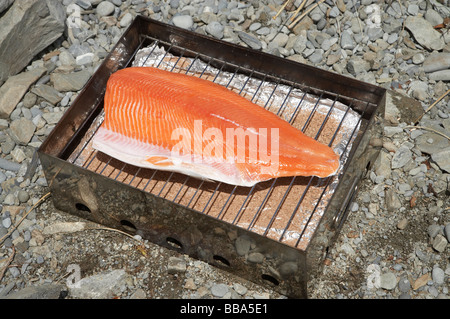 Smoking a Salmon Fillet on the Beach Lake Ohau Mackenzie Country South Island New Zealand Stock Photo