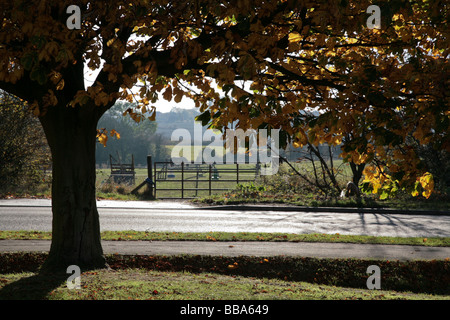 Early autumn morning in rural England Stock Photo