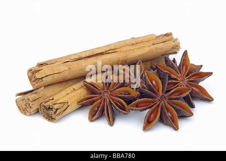 Zimtstange und Anisstern cinnamon stick and star from anis 01 Stock Photo