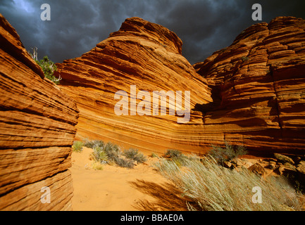 Rock formations, Buckskin Gulch, Utah-Arizona, USA Stock Photo