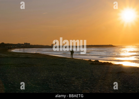 Sea shell seeker at the beach of Cavallino in the morning sun, Venice, Italy, Europe Stock Photo