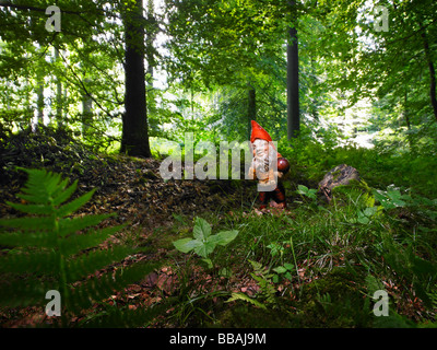 A Garden gnome in the woods Stock Photo