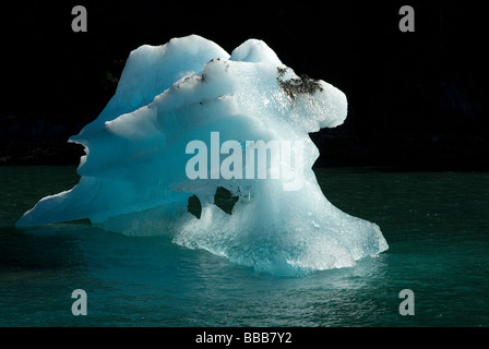 Icebergs in the fjord Tracy Arm Fjord Alaska USA Stock Photo