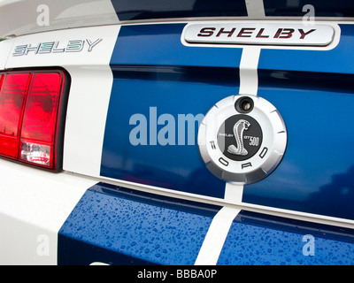 Ford Shelby Mustang GT500 Stock Photo