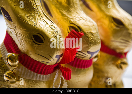 Easter Chocolate rabbits Stock Photo
