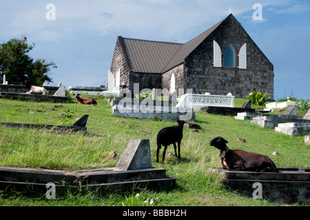 St Thomas Anglican Church and school oldest active Protestant church in the Caribbean Nevis Stock Photo