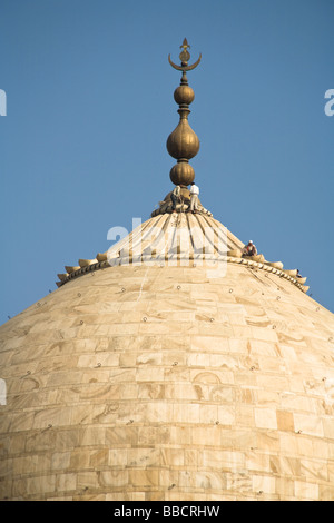 Close up view of men maintaining the dome of the Taj Mahal, Agra, Uttar Pradesh, India Stock Photo