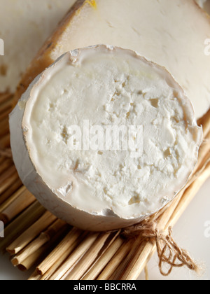 British goats cheese Stock Photo