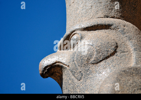 Statue of Falcon headed God Horus at Ptolemaic Cult Temple of Edfu Egypt Stock Photo