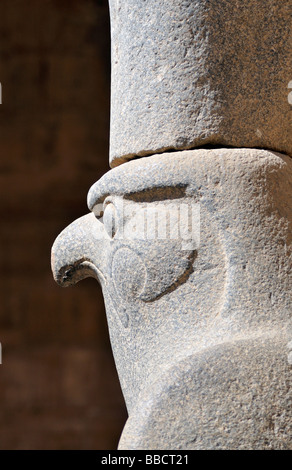 Statue of Falcon headed God Horus at Ptolemaic Cult Temple of Edfu Egypt Stock Photo