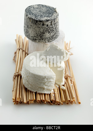 British goats cheese Stock Photo