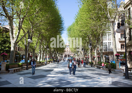 People walking down the avenue in Passeig des Born Palma Mallorca Spain Stock Photo