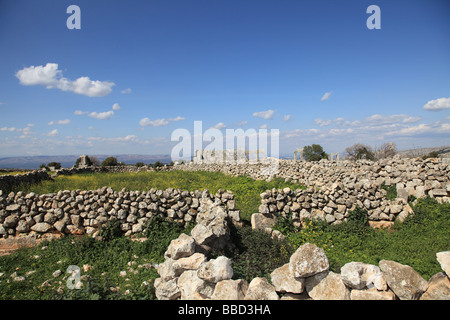 Aleppo Syria Syrian Middle East old ancient city Asia Citadel Aleppian religion Governorate Sunni Muslims muslim Islam arab Stock Photo