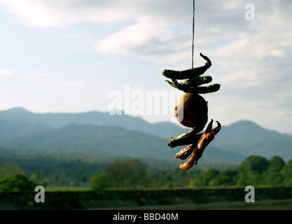 Indian Good Luck Charm hanging outside a restaurant in Himachal, India Stock Photo