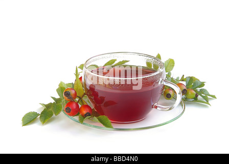 Tee Hagebutte rose hip tea 01 Stock Photo