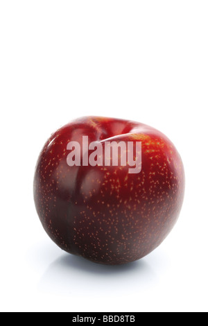 red plum Stock Photo