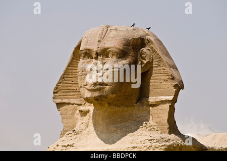 The Great Pyramids of Egypt with the beautiful Sphinx. Stock Photo