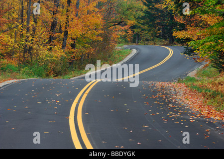Road Through Forest in Autumn, Vermont, USA Stock Photo