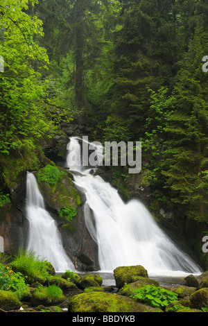 Waterfall in Black Forest, Baden-Wurttemberg, Germany Stock Photo