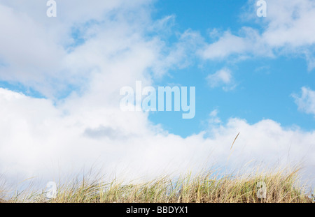 Long Point Wildlife Refuge, West Tisbury, Martha's Vineyard, Massachusetts, USA Stock Photo