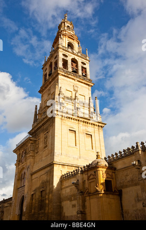 Toree del Alminar Bell tower of the Cathedral of Cordoba and the Mezguita in Cordoba Spain Stock Photo