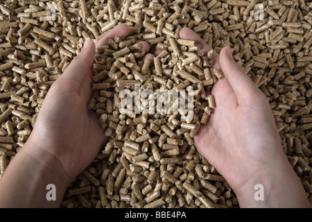 Person checking the quality of wood pellets Stock Photo