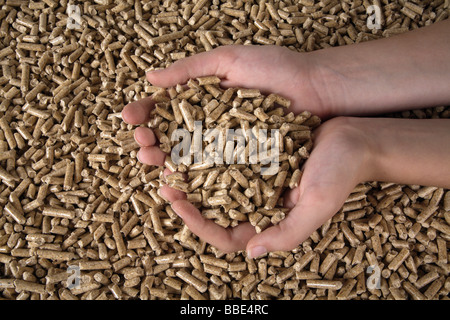 Person checking the quality of wood pellets Stock Photo