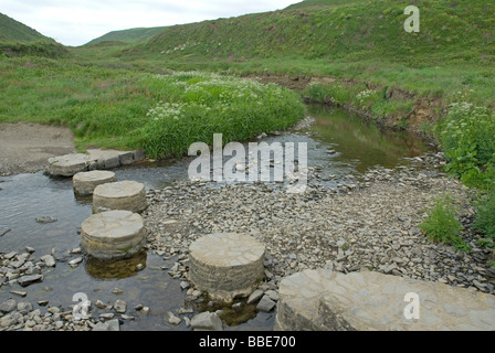 Welcombe Mouth on the north Devon coast, close to the border with Cornwall Stock Photo