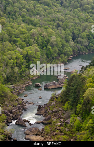 View of the Cumberland River from Devils Jump Overlook in Big South Fork National River and Recreation Area Kentucky Stock Photo