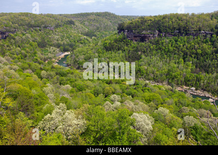 View of the Cumberland River from Devils Jump Overlook in Big South Fork National River and Recreation Area Kentucky Stock Photo