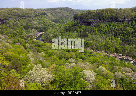 View of the Cumberland River from Devils Jump Overlook in Big South Fork National River and Recreation Area Kentucky Stock Photo