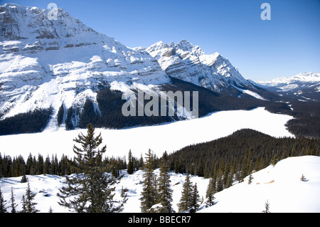 Peyto Lake, Banff National Park, Canadian Rockies, Alberta, Canada Stock Photo