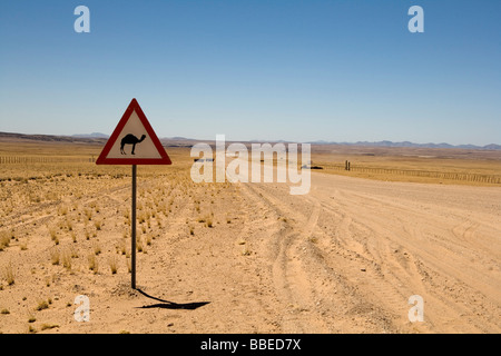 Camel Crossing Sign by Road, Solitaire, Namibia Stock Photo