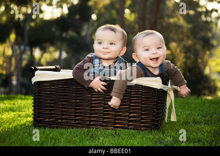 Twin Boys in Basket Stock Photo