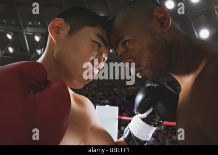 Two boxers sparring Stock Photo