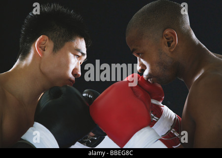 Two boxers sparring Stock Photo