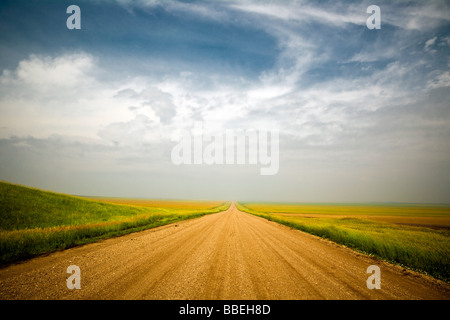 Country Road, Buffalo Gap, Custer County, South Dakota, USA Stock Photo