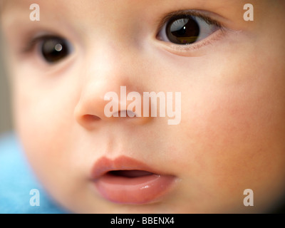 Seven month old baby boy Stock Photo