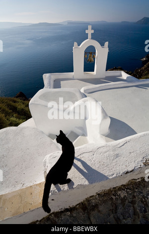 View of a Cat on a Wall in the Village of Oia perched on steep Cliffs overlooking the submerged Caldera, Santorini, Greece Stock Photo