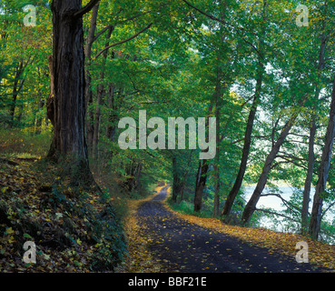 Forest road along the Delaware River near Worthington State Forest in the Delaware Water Gap New Jersey Stock Photo