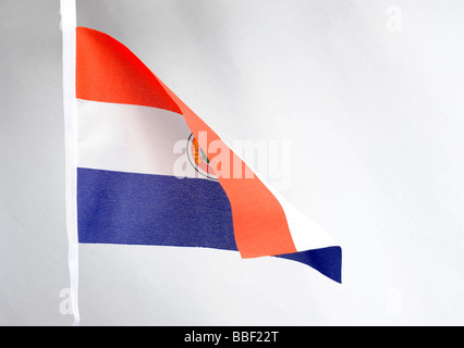 Republic of Paraguay National Flag Stock Photo