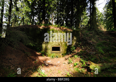 Siegfried Line German bunker in Huertgenwald Forest, Germany Stock Photo