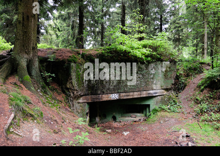 Bunker in the Hurtgenwald - Hurtgen Forest, Huertgenwald, Hürtgenwald ...