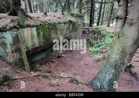 Siegfried Line German bunker in Huertgenwald Forest, Germany Stock Photo