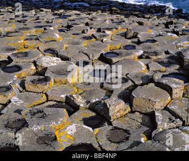 Hexagonal shapes create a puzzle of these basalt columns at Northern Ireland's Giant's Causeway Stock Photo
