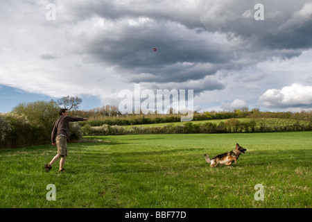 Man throwing a red rubber ring toy for German Shepherd dog in grassy field in Bristol with dog racing after it Stock Photo