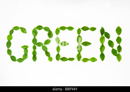Word 'green' spelt out with leaves. Beech leaves. Stock Photo